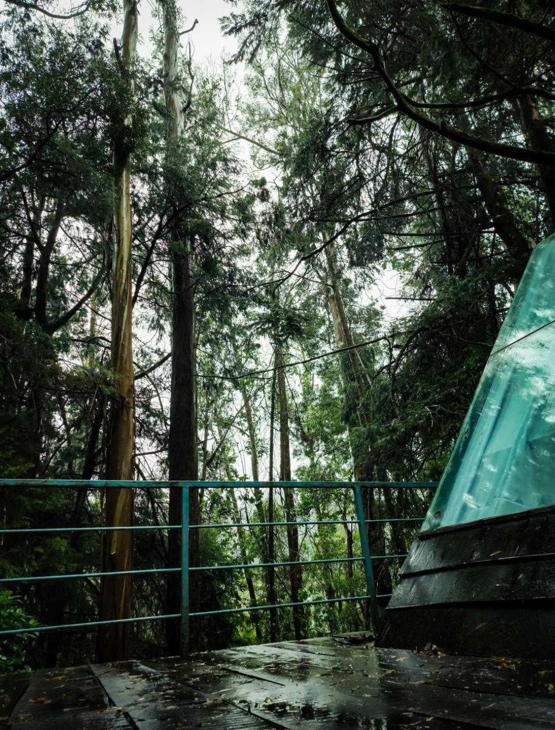 Woodhouse Otel Ooty Dış mekan fotoğraf