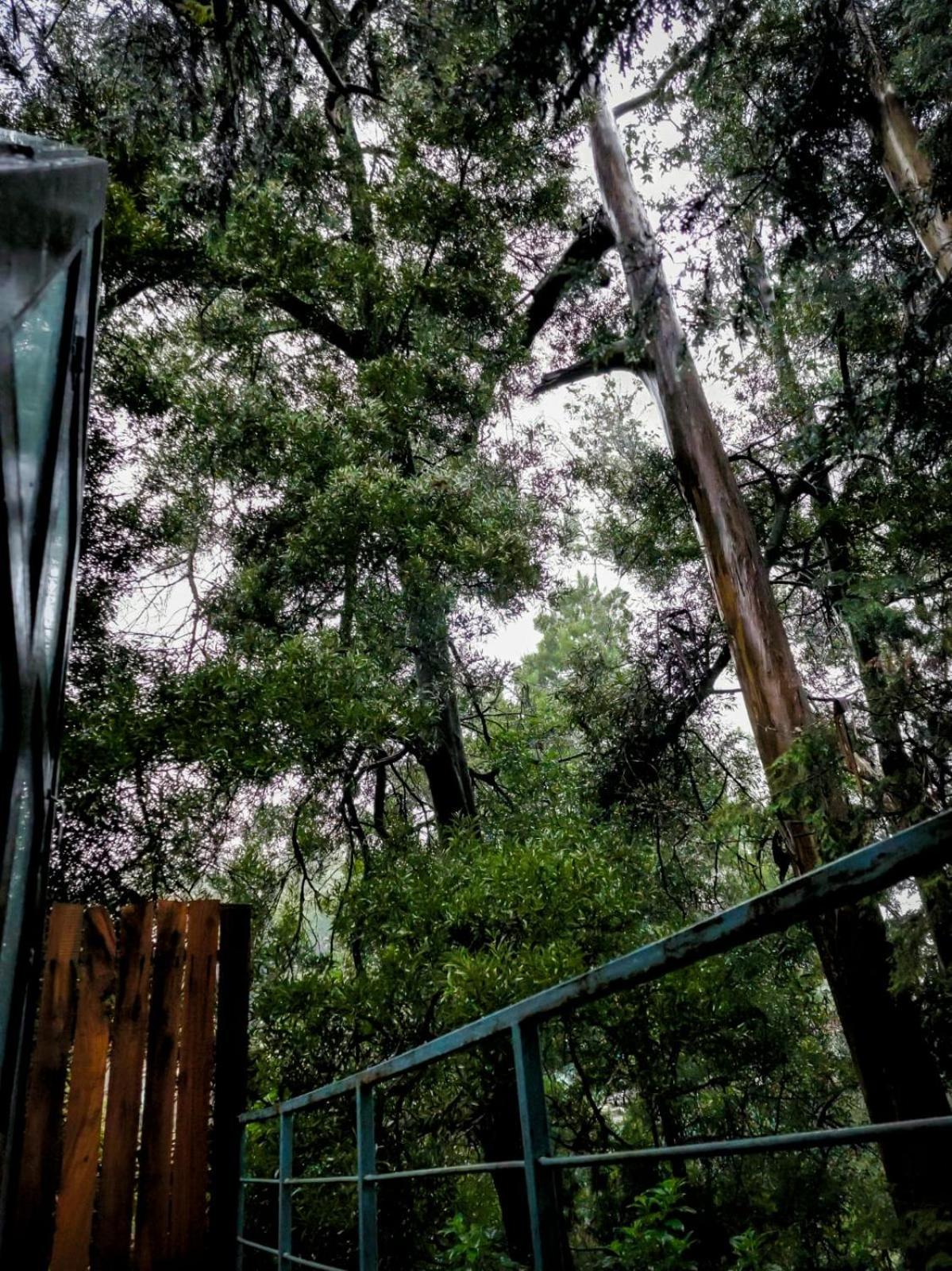 Woodhouse Otel Ooty Dış mekan fotoğraf